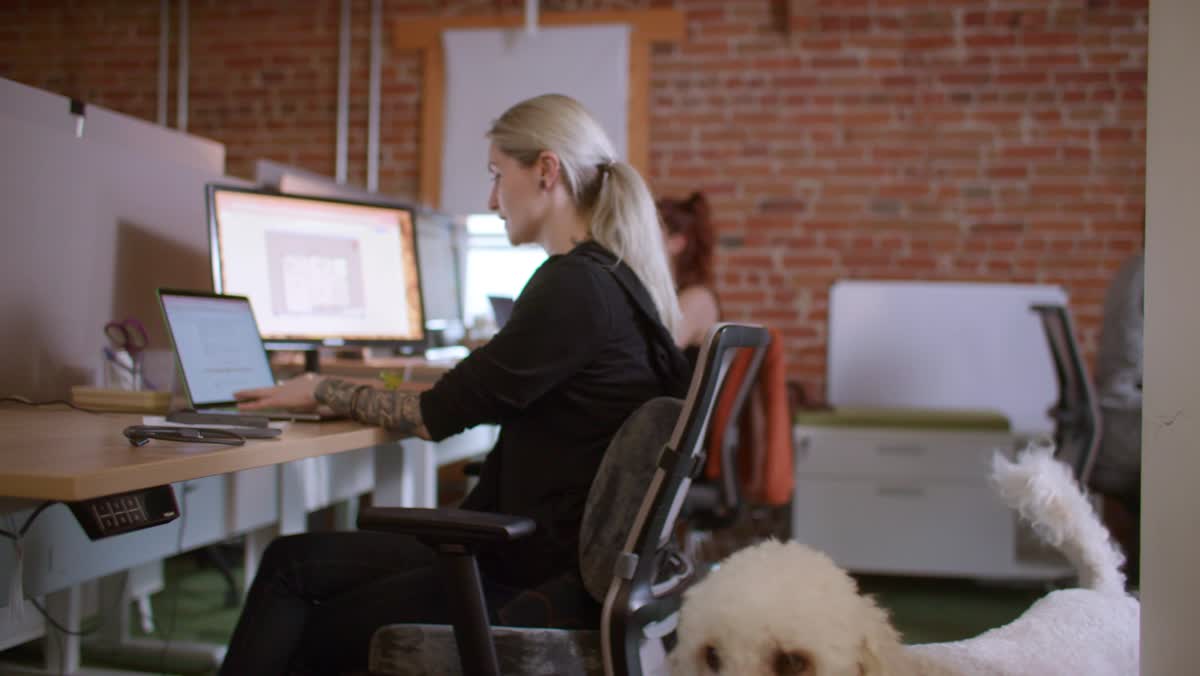 Frame from the PlanOmatic campaign